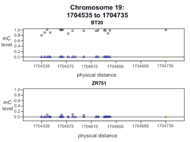 methylation on chromosome 19